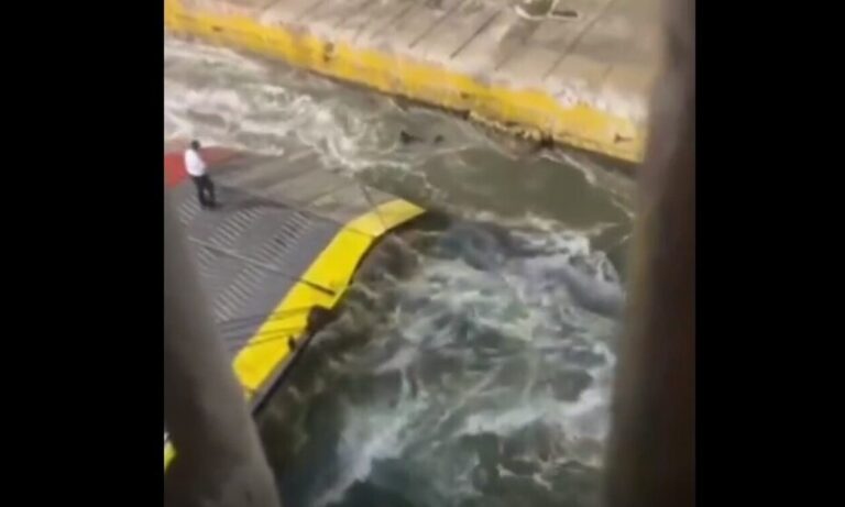Άτομο με αναπηρία ο 36χρονος Αντώνης που το πέταξαν στην θάλασσα όταν πήγε να προλάβει το πλοίο