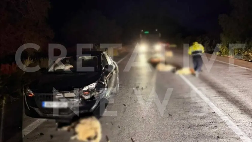 Σκηνικό – σοκ στον ΒΟΑΚ! Αυτοκίνητο παρέσυρε 15 ανεπιτήρητα πρόβατα!