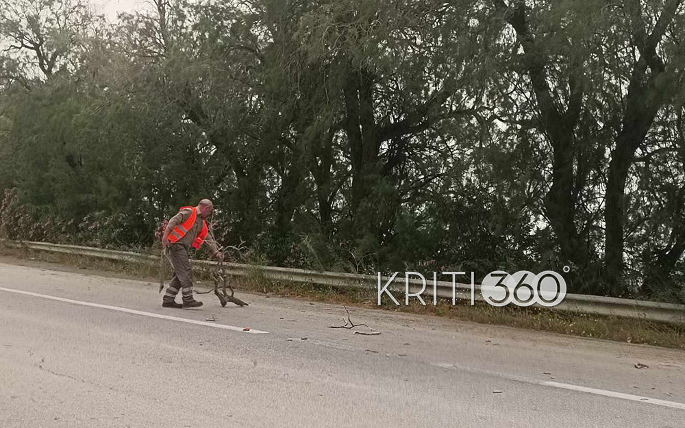 Χανιά: Πτώσεις κλαδιών στον ΒΟΑΚ – Προσοχή οι οδηγοί (φωτο)