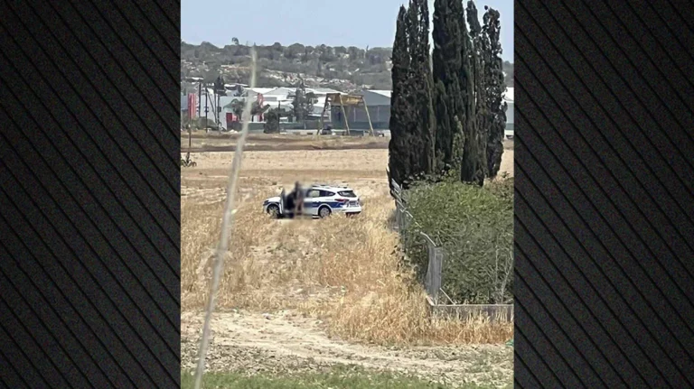 Σάλος με βίντεο αστυνομικών να κάνουν σεξ σε περιπολικό