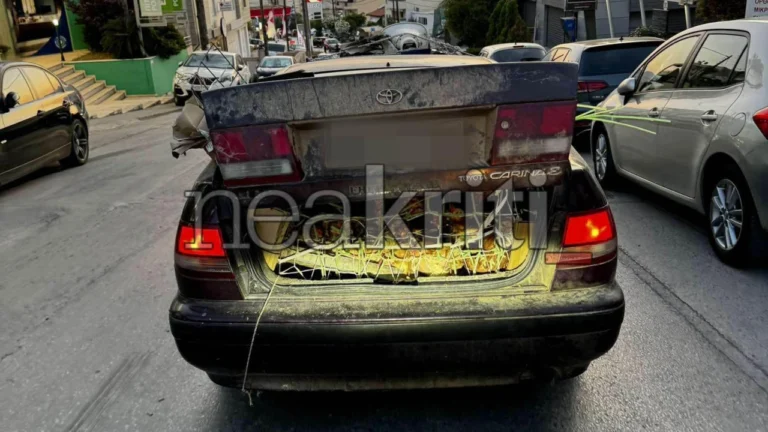 Κοτόπουλα στο πορτ μπαγκάζ - Μία εικόνα που σίγουρα «κλωσάει» ερωτήματα (φωτο)