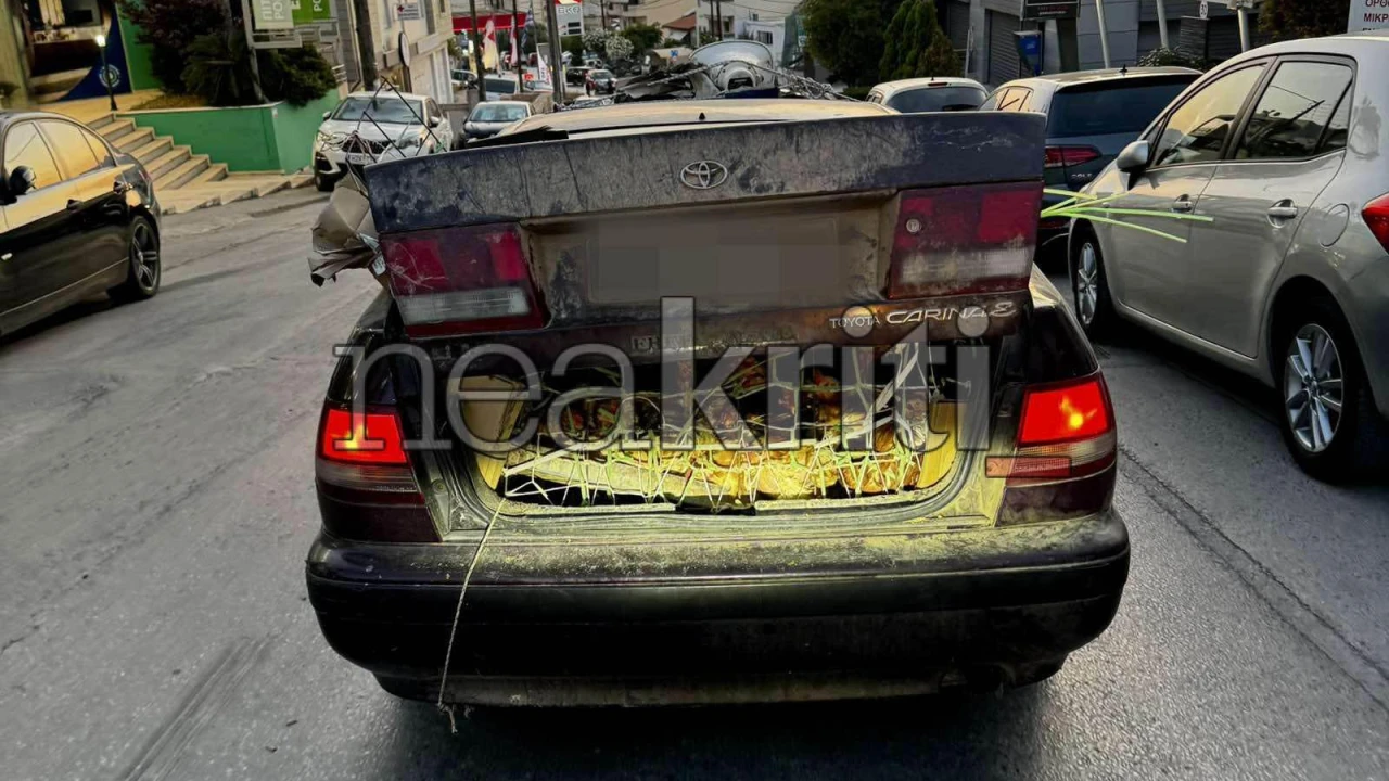 Κοτόπουλα στο πορτ μπαγκάζ - Μία εικόνα που σίγουρα «κλωσάει» ερωτήματα (φωτο)