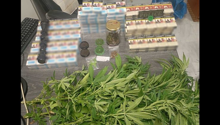 Χανιά: 51χρονος καλλιεργούσε δενρύλλια κάνναβης – Συνελήφθη για ναρκωτικά και λαθραία τσιγάρα (φωτο)