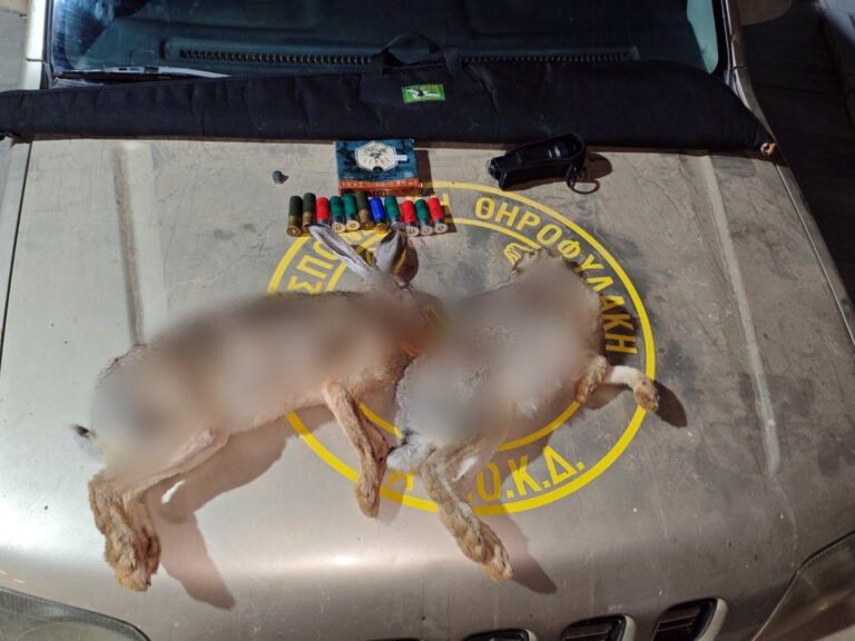 Χανιά: Παράνομους κυνηγούς “έπιασαν” οι ομοσπονδιακοί θηροφύλακες- Πήγαν να «ξεφορτωθούν» δύο σκοτωμένους λαγούς (φωτο)