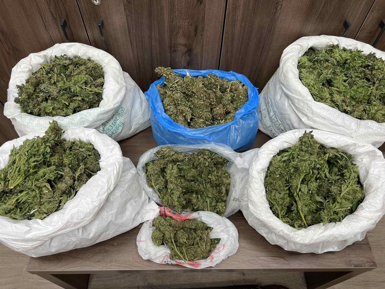 Κρήτη: Τέσσερις συλλήψεις, ανάμεσά τους και ανήλικος - Βρέθηκαν 14 κιλά χασίς στα σπίτια τους και σε εξωτερικούς χώρους (φωτο)