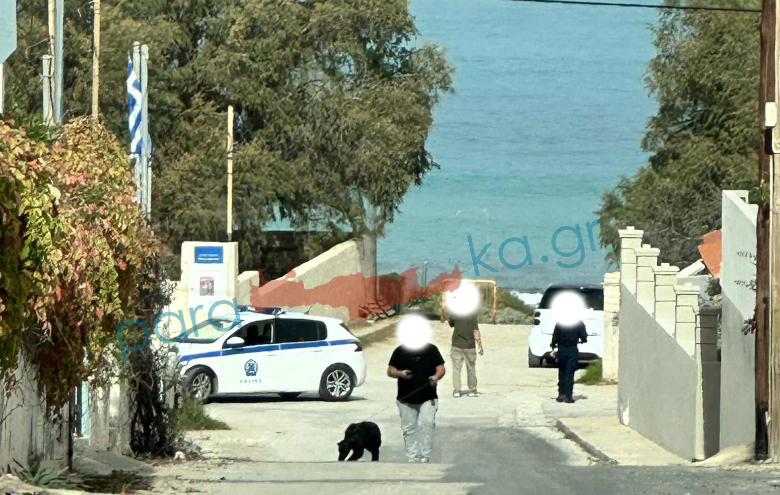 Χανιά: Ανησύχησαν από την παρουσία ισχυρής αστυνομικής δύναμης οι κάτοικοι στον Σταυρό (φωτο)