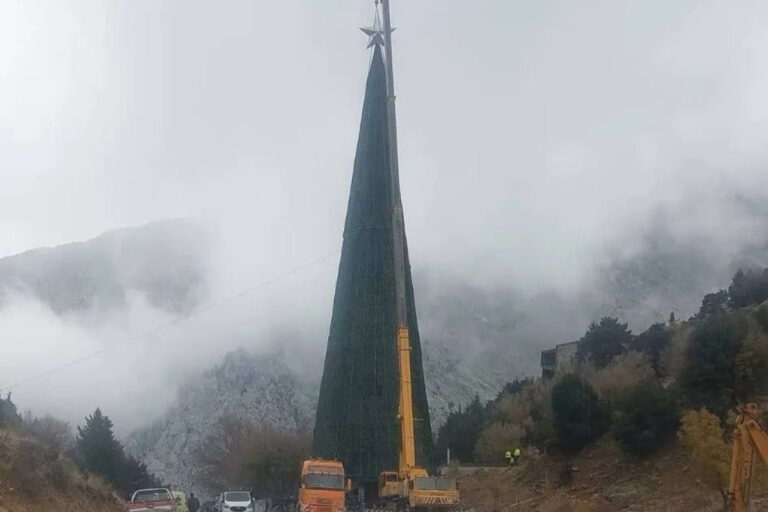 Χανιά: Η αντίδραση του Προέδρου του ΟΦΥΠΕΚΑ για το χριστουγεννιάτικο δέντρο στον Ομαλό