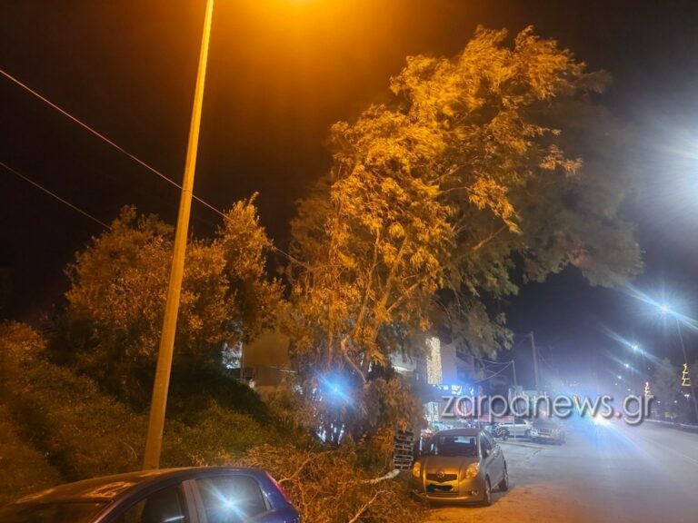 Χανιά: Προσοχή οι οδηγοί – Κινητοποίηση της Πυροσβεστικής για ευκάλυπτο στον κόμβο Σούδας (φωτο)