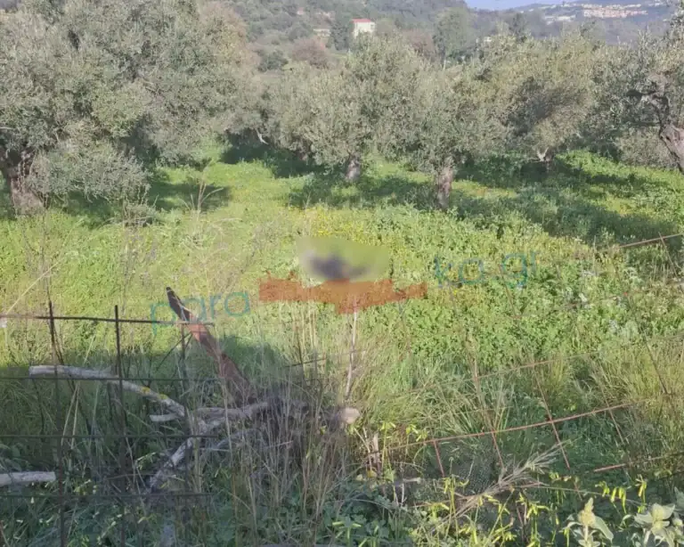 Χανιά: 40χρονος βρέθηκε νεκρός σε χωράφι στον Αποκόρωνα