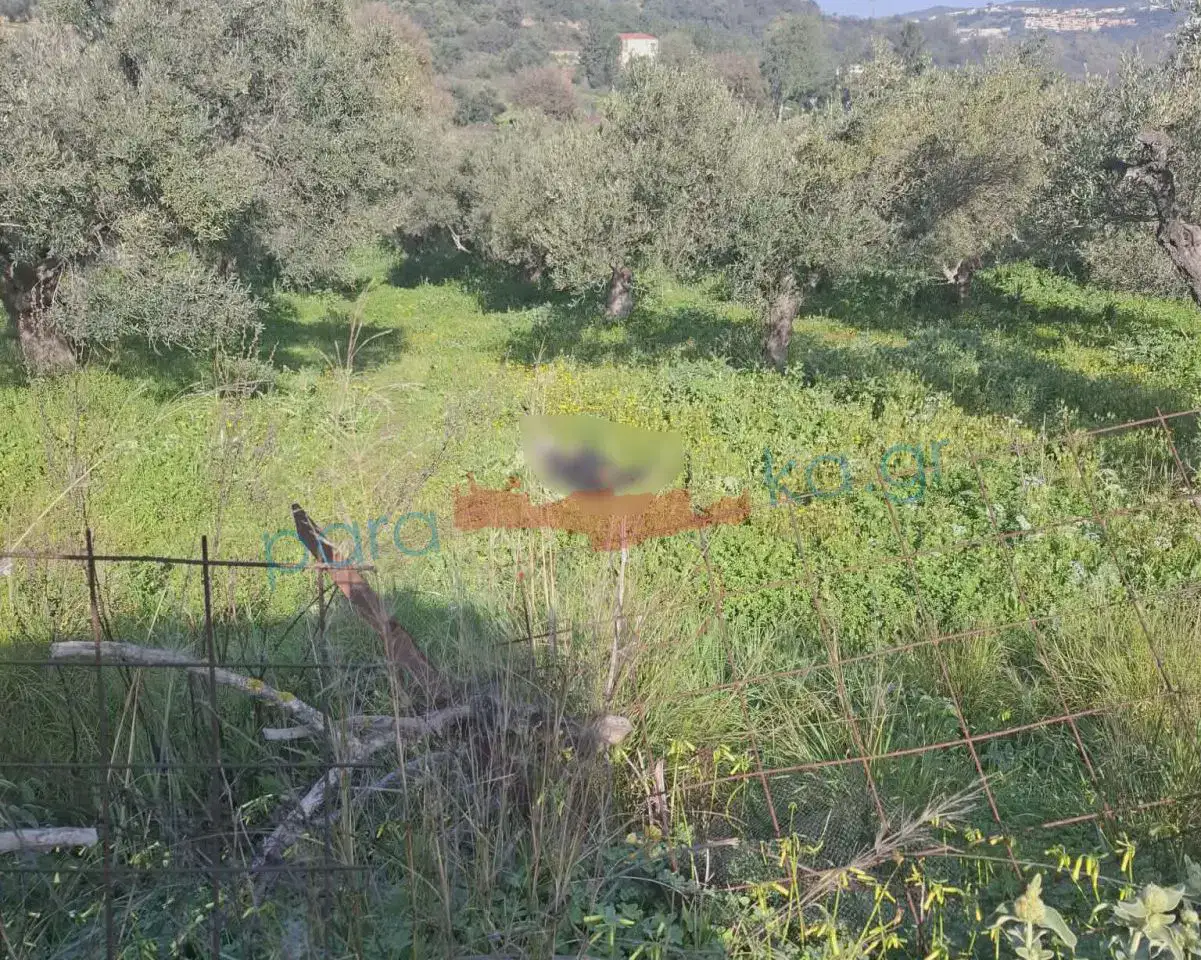 Χανιά: 40χρονος βρέθηκε νεκρός σε χωράφι στον Αποκόρωνα