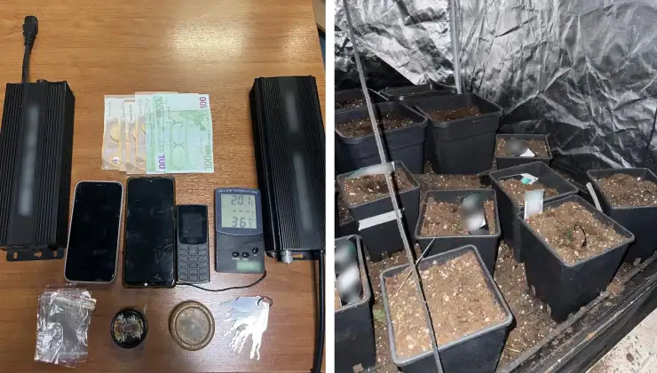 Ξάφριζαν ηλεκτρονικές συσκευές από Χανιά και Ηράκλειο μέχρι Αττική, καλλιεργούσαν και κάνναβη (φωτο)