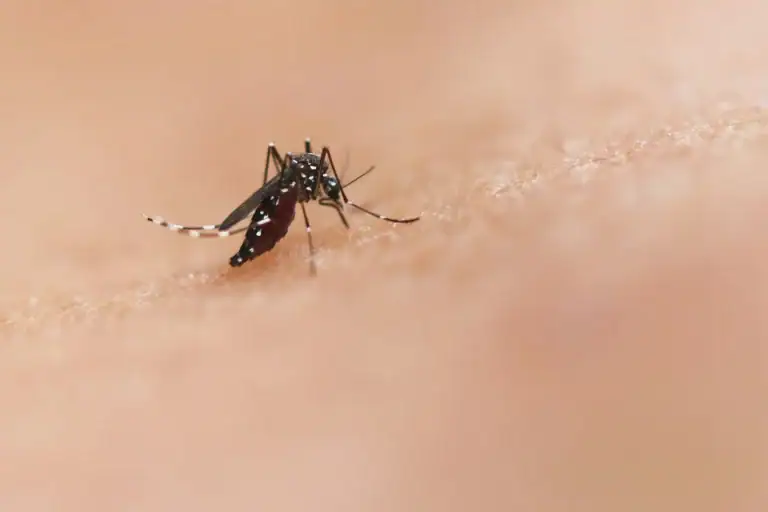 National Institute of Allergy and Infectious Diseases