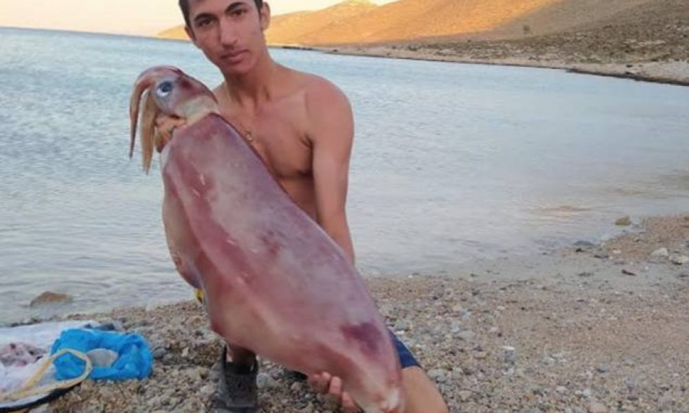15χρονος έπιασε με το ψαροντούφεκο καλαμάρι 17 κιλών! (φωτο)