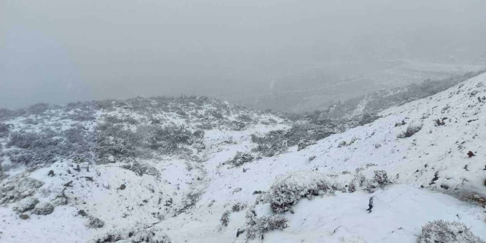 Χανιά: Πυκνή χιονόπτωση στα ορεινά (φωτο)
