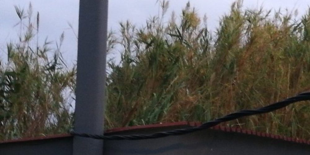 Χανιά: Καλώδιο της ΔΕΗ προσγειώθηκε σε μπαλκόνι σπιτιού (φωτο)