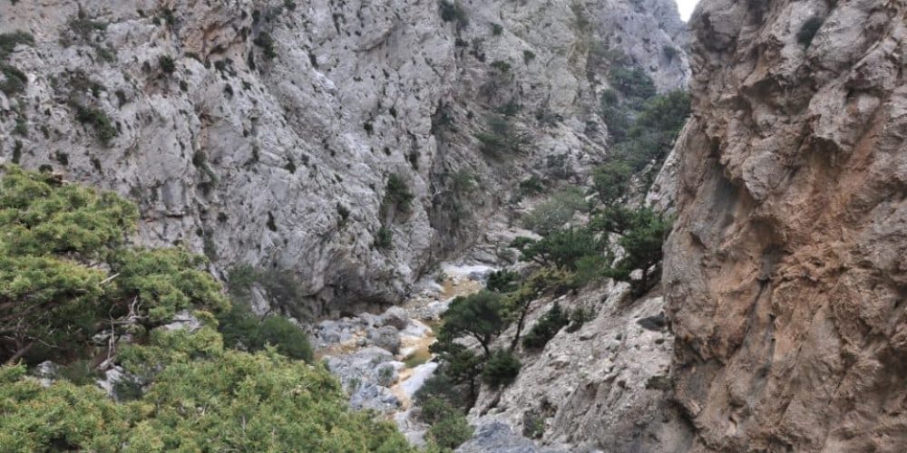 Κρήτη: Συναγερμός για τον εντοπισμό Γαλλίδας με τρία παιδιά που χάθηκαν σε φαράγγι