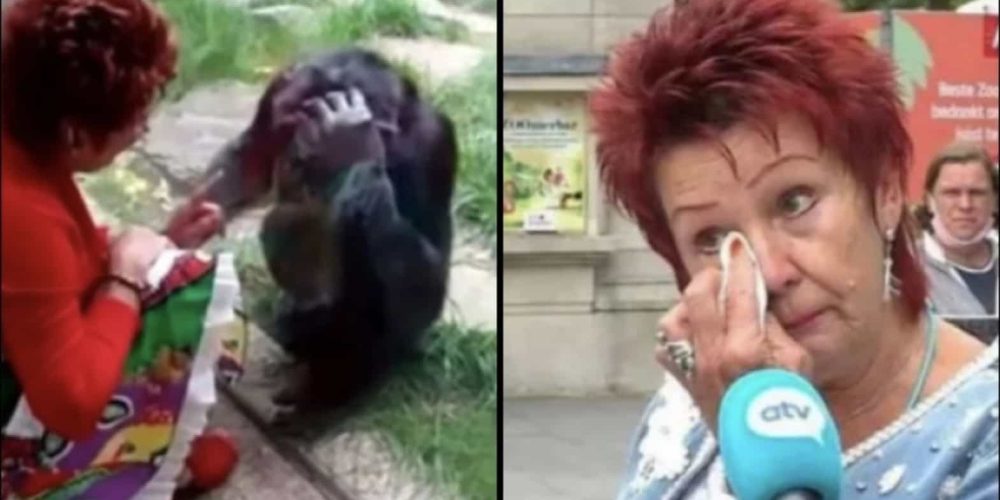 Ζωολογικός κήπος απαγόρευσε σε γυναίκα να βλέπει έναν χιμπατζή: «Έχουμε σχέση», λέει