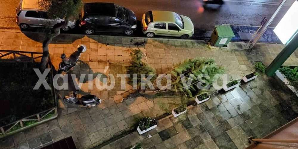 Χανιά: Πτώση κλαδιού δέντρου στο κέντρο της πόλης (φωτο)