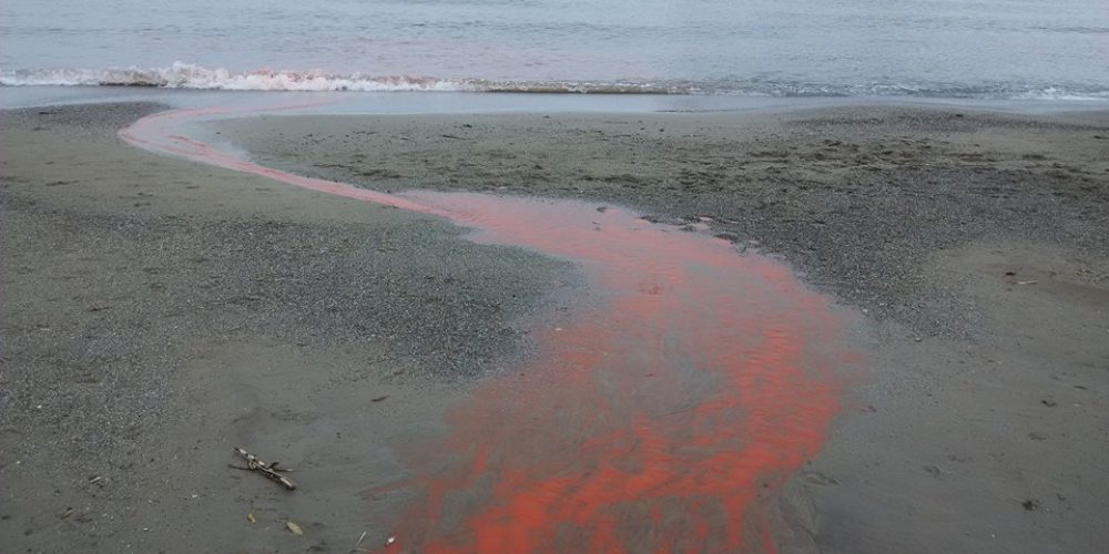 Χανιά: Ντροπή λύματα στην παραλία της Αγίας Μαρίνας (φωτο)