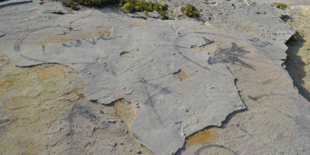Χανιά: Έκλεψαν τις απολιθωμένες πατημασιές ηλικίας 5,7 εκατ. χρόνων στην Κίσσαμο
