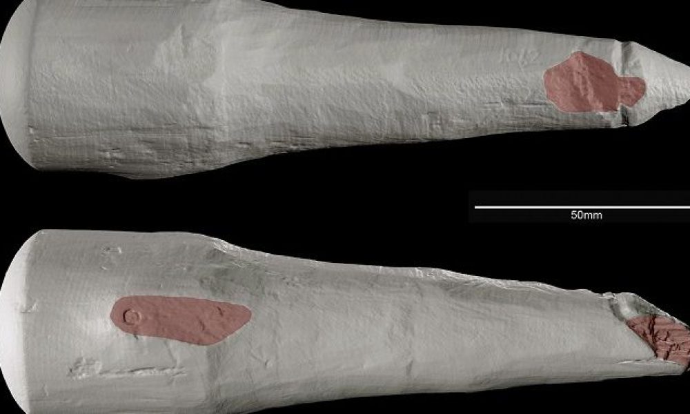 Ανακαλύφθηκε για πρώτη φορά αρχαίο σεξουαλικό βοήθημα ηλικίας 2.000 ετών! (φωτο)