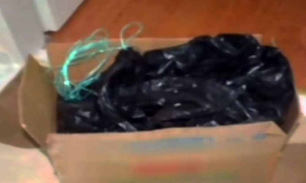 Έκρυβαν το πτώμα της «εξαφανισμένης» κόρης τους σε ένα κουτί για 21 χρόνια!