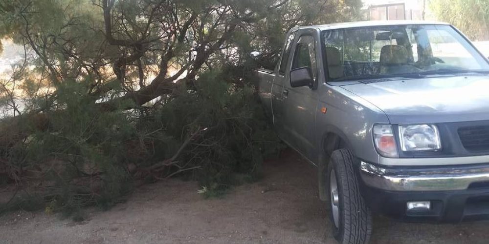 Παραλίγο τραγωδία στα Χανιά – Δένδρο έπεσε πάνω σε αυτοκίνητο (φωτο)
