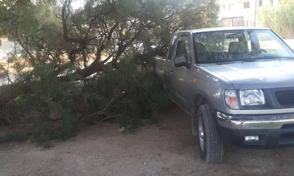 Παραλίγο τραγωδία στα Χανιά - Δένδρο έπεσε πάνω σε αυτοκίνητο (φωτο)