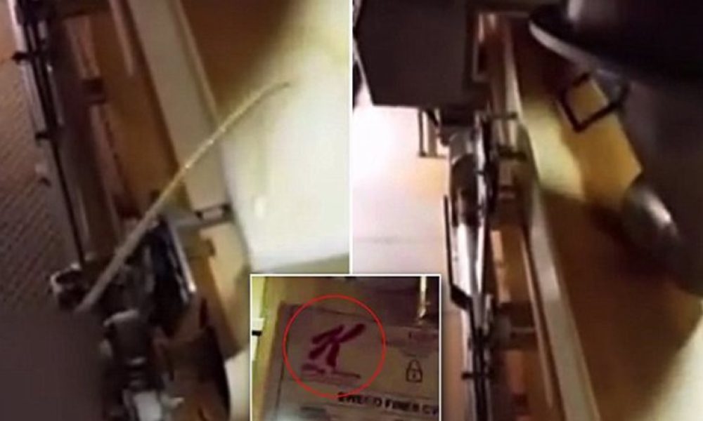 Σάλος με βίντεο που δείχνει υπάλληλο της Kellogg να ουρεί σε δημητριακά της εταιρείας