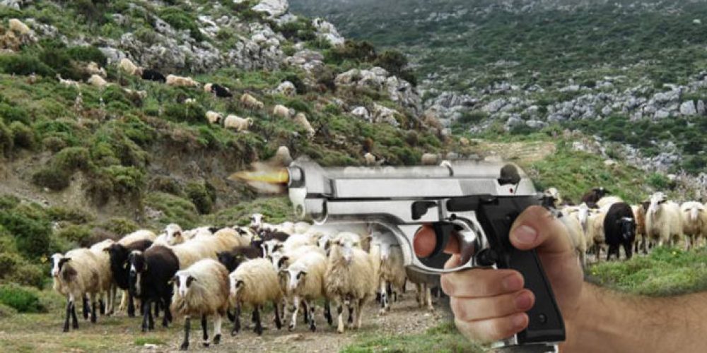 Χανιά :Ανθρωποκυνηγητό για τον κτηνοτρόφο που κατηγορείται οτι πυροβόλησε άλλον κτηνοτρόφο – Επιχείρηση της αστυνομίας