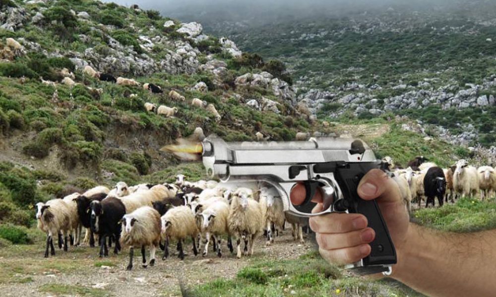 Χανιά: Παραδόθηκε ο κτηνοτρόφος που επιχείρησε να σκοτώσει συγχωριανό του