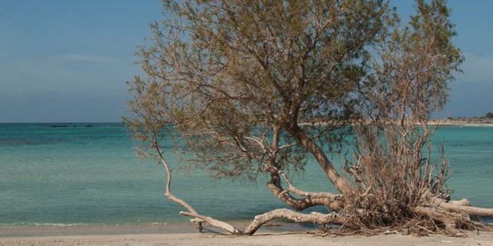 Η παραλία των Χανίων στις 10 πιο όμορφες του κόσμου και τρίτη στην Ευρώπη
