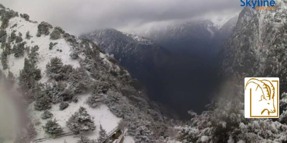 Χανιά: Χιονόπτωση και στο οροπέδιο του Ομαλού (live camera)