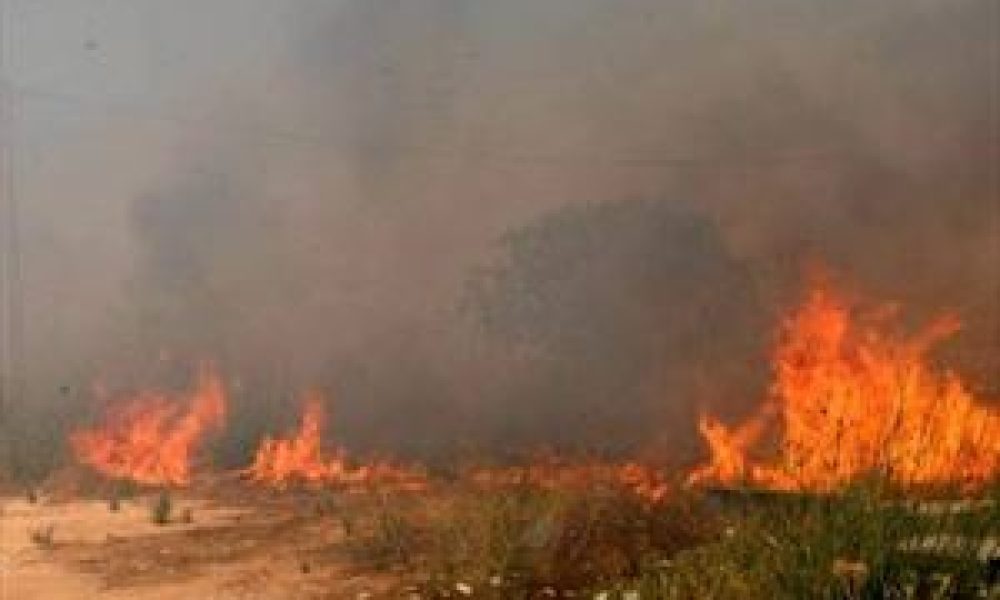 Νέα πυρκαγιά σε περιοχή του Θερίσου στα Χανιά.