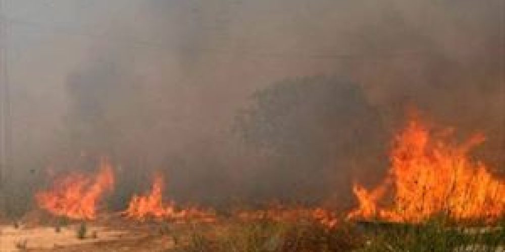 Νέα πυρκαγιά σε περιοχή του Θερίσου στα Χανιά.