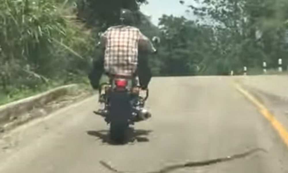 Βίντεο: Φίδι επιτίθεται σε μοτοσικλετιστή εν κινήσει