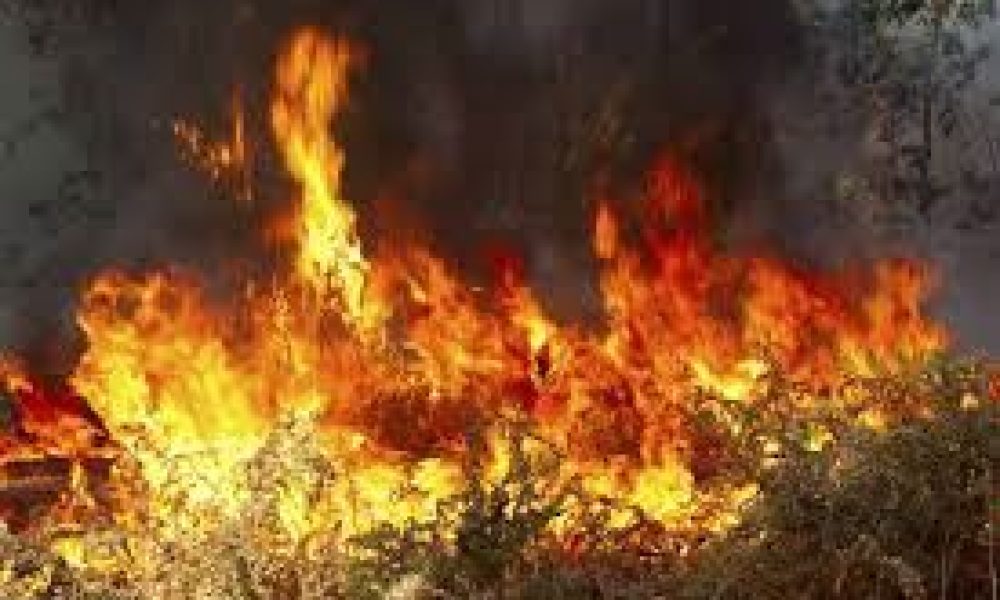 Συναγερμός στην πυροσβεστική για απανωτές φωτιές στο νομό Χανίων