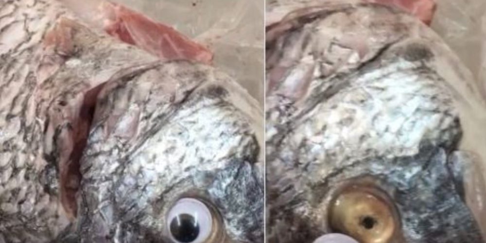 Ιδιοκτήτης εστιατορίου κολλούσε ψεύτικα πλαστικά μάτια στα ψάρια για να φαίνονται φρέσκα