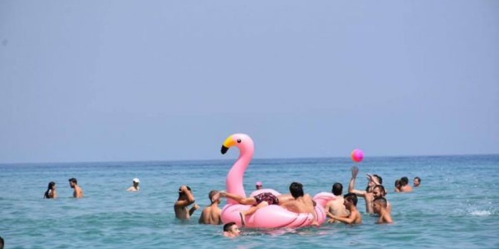 Χανιά: Επεισοδιακή βόλτα για παρέα με… ροζ φλαμίνγκο!