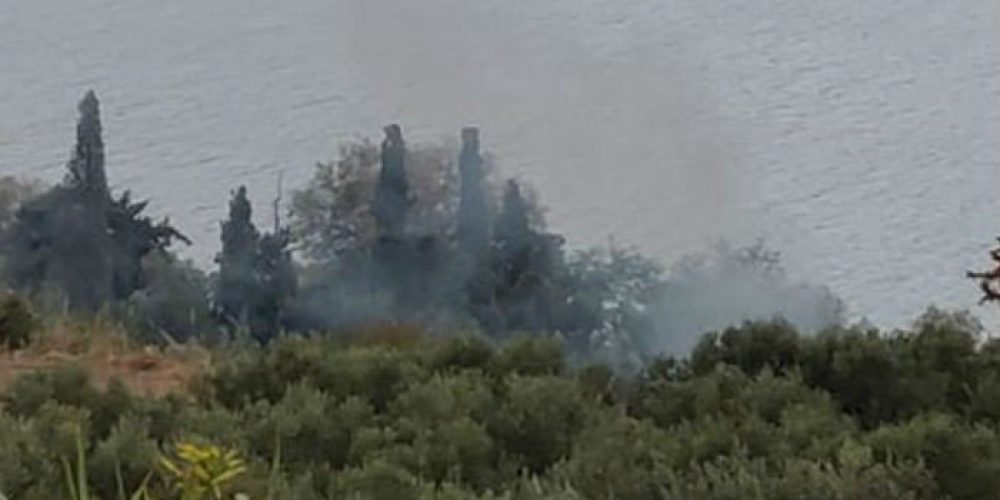 Πυρκαγιά στα Μεγάλα Χωράφια στα Χανιά (φωτο)