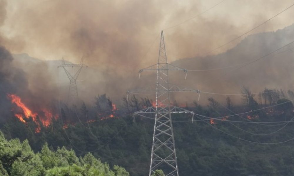 Συναγερμός από μεγάλη φωτιά στο Καλάμι Χανίων