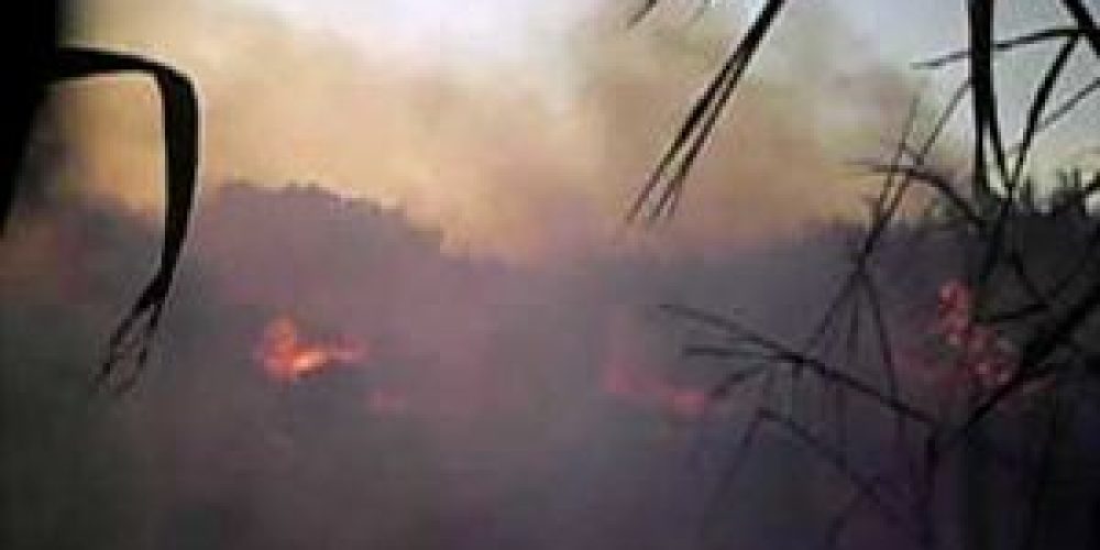 Συναγερμός από φωτιά σε χωριό κοντά στις Βρύσες Χανίων