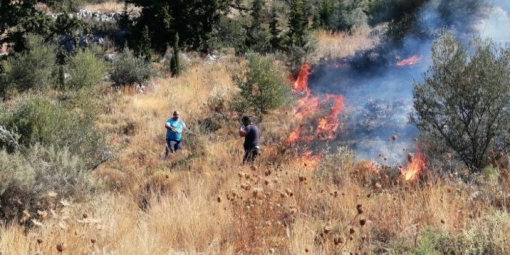 Χανιά :Συναγερμός στην Πυροσβεστική για φωτιά στα Λιβάδεια (Photos -Video)