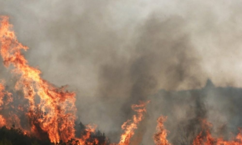 Κρήτη: Συναγερμός στην πυροσβεστική μετά το μπαράζ πυρκαγιών