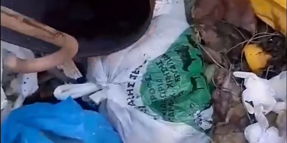 Χανιά: Ντροπιαστικό video – Πέταξαν νεογέννητα γατάκια στα σκουπίδια