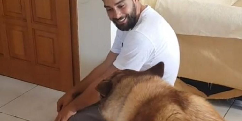 Χάρης Γιακουμάτος: Η ξεκαρδιστική αντίδραση του σκύλου του όταν γύρισε από το Survivor – βίντεο