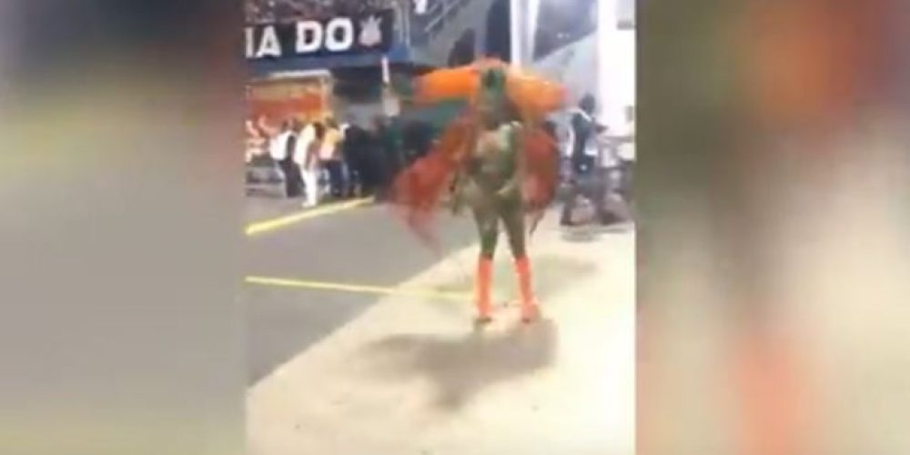 Βραζιλιάνα Βασίλισσα του Καρναβαλιού έχασε το τάνγκα της αλλά συνέχισε να χορεύει (video)