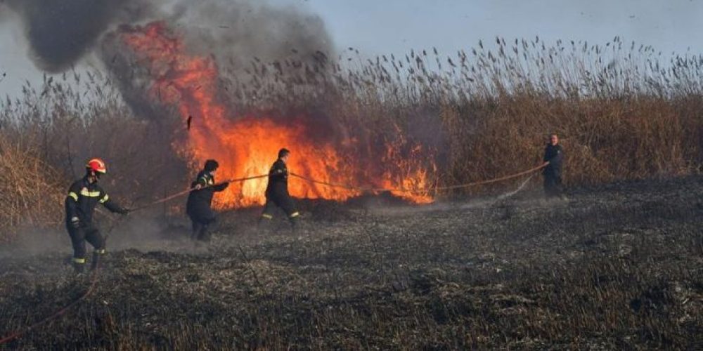 Χανιά: Πυρκαγιά σε καλαμιές στο Γεράνι