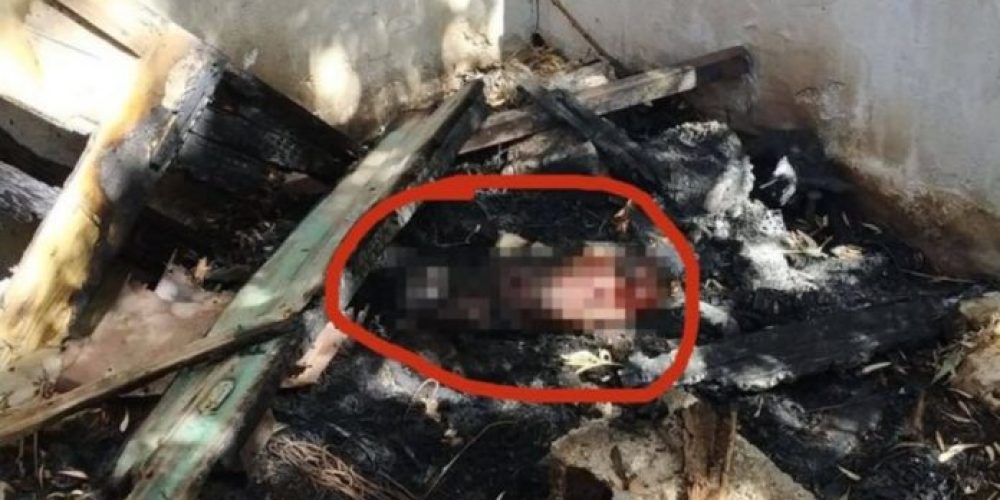 Κρήτη:Έκαψανζωντανό σκυλί στο σπιτάκι του!