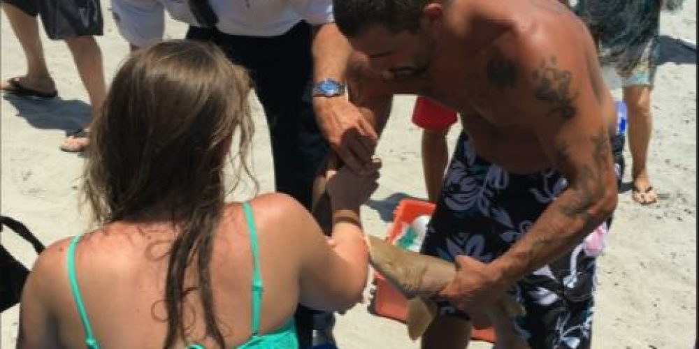 Στο νοσοκομείο 23χρονη με καρχαρία καρφωμένο στο χέρι της (Photos)